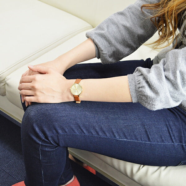 スカーゲン SKAGEN アニタ SKW2147 レディース