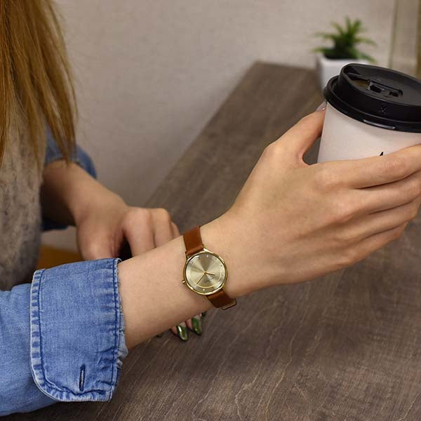 スカーゲン SKAGEN アニタ SKW2147 レディース