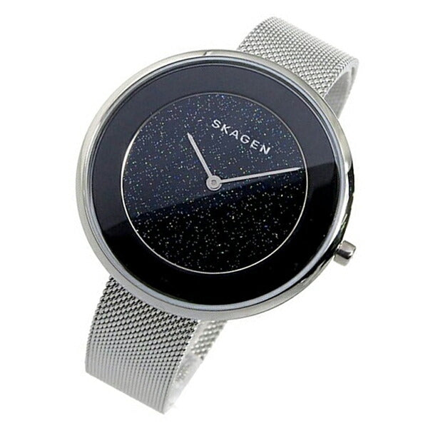 スカーゲン SKAGEN ネックレス付専用BOX SKW1070 レディース