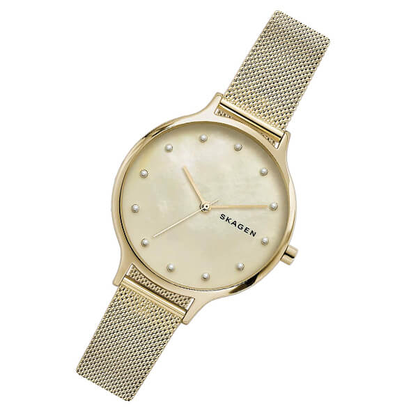 スカーゲン SKAGEN アニータ SKW2774 レディース