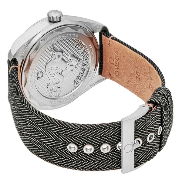 オメガ シーマスター OMEGA RAILMASTER 220.12.40.20.01.001 メンズ