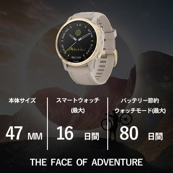ガーミン GARMIN fenix6S Pro Dual Power 0100240921 ユニセックス