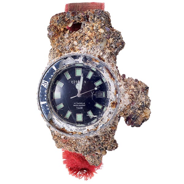 シチズン プロマスター PROMASTER MARINEシリーズ メカニカルダイバー200m NB6021-17E メンズ