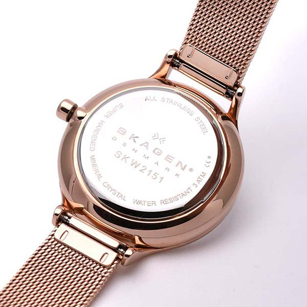 スカーゲン SKAGEN  SKW2151 レディース
