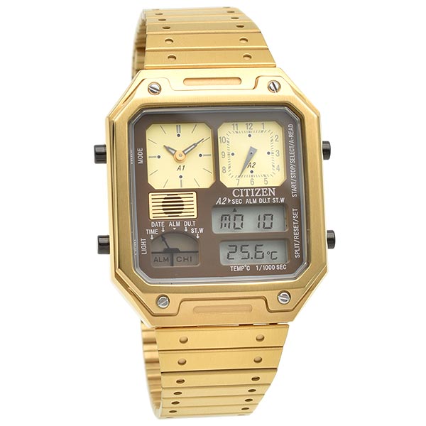 シチズン レコードレーベル RECORD LABEL 特定店限定モデル500本