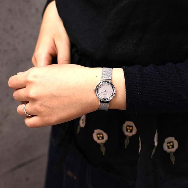スカーゲン SKAGEN スティール 456SSS レディース｜腕時計本舗