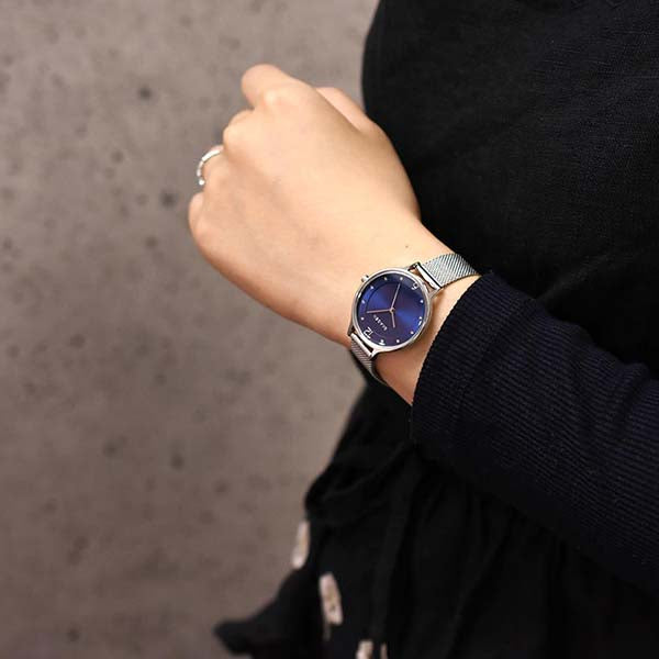 Anita Lille Steel Mesh Watch SKW2307 - Skagen