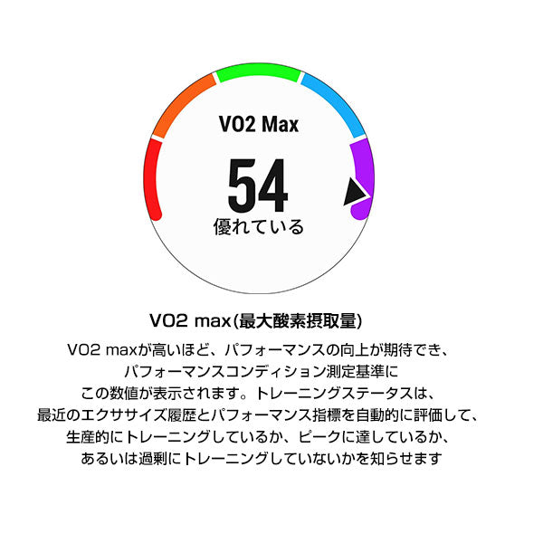 ガーミン GARMIN ガーミン 0100212048 ユニセックス ForeAthlete 245