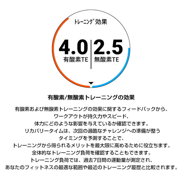 ガーミン GARMIN ガーミン 0100212048 ユニセックス ForeAthlete 245