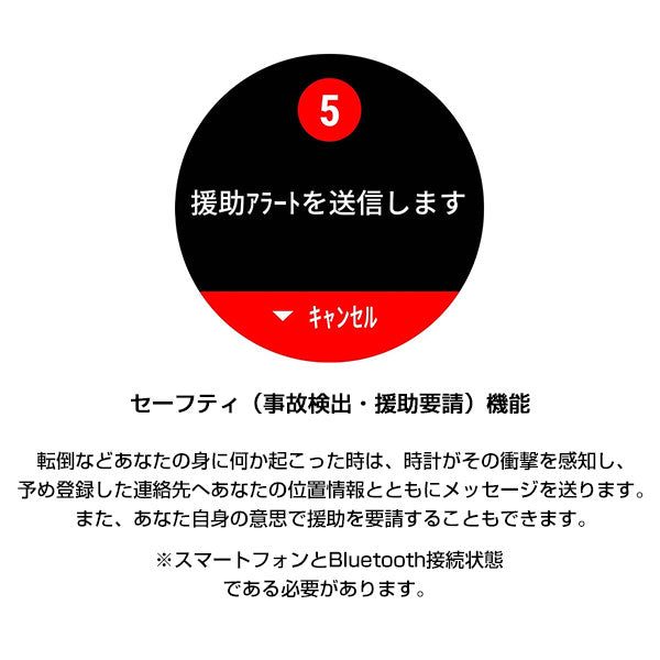 ガーミン GARMIN ガーミン 0100212048 ユニセックス ForeAthlete 245