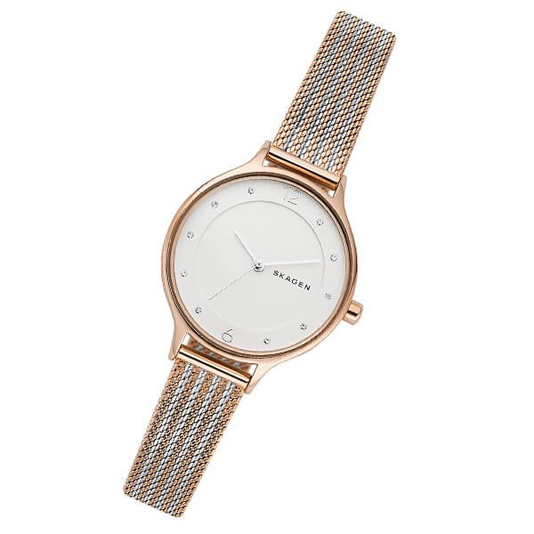 スカーゲン SKAGEN アニータ SKW2749 レディース